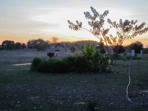 Sonnenuntergang im Outback