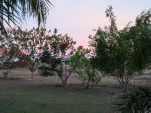 Mount Bundy Station - Blick in den Sonnenuntergang