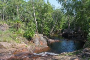 Gleich gehts hier schwimmen im Litchfield Nationalpark - Buley Rockhole