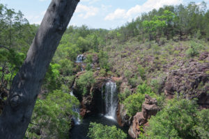 Florence Falls von oben
