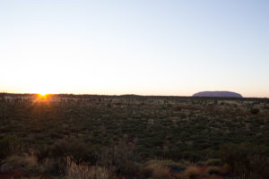 Sonnenaufgang am Uluru