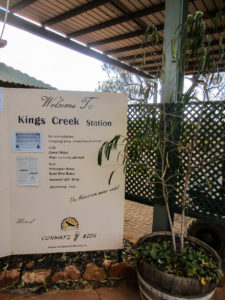 Kings Creek Cattle Station