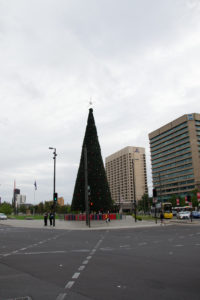 Riesengroßer Pyramiden Weihnachtsbaum in Australien