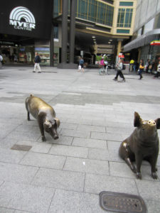 Schweine vor Myer Centre