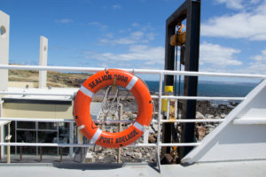 Rettungsring der Seelion 2000 von Sealink