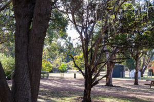 Stellplatz Western KI Caravan Park