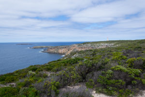 Küste Australiens auf Kangaroo Island