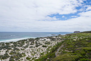 Seal Bay Küste