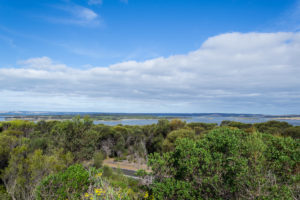 American River Rd - Ausblick