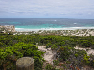 Seal Bay Conservation Park