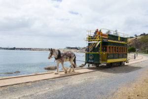 Victor Harbor Horse Drawn Tram - starkes Pferd vor dem Bus