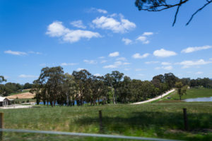 Biggs Flat - Süd Australiens grüne Natur