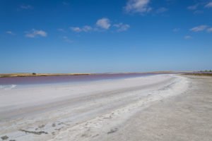 Salzsee - Lake Albert