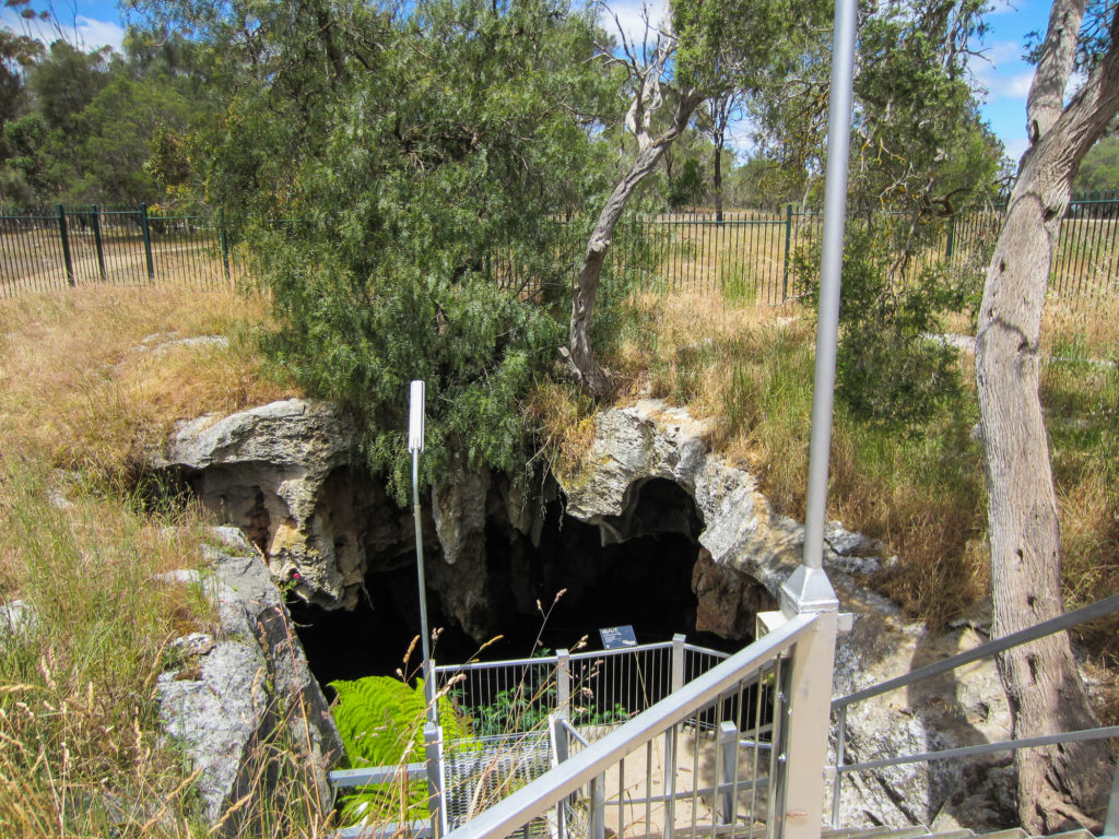 Höhleneingang im Nacracoorte Caves National Park