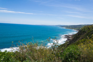 Blick auf Apollo Bay - ganz hinten am Horizont