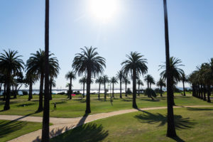 Catani Gardens