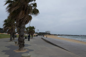 St. Kilda Beach mit Palmen und viel Wind