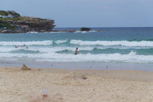 Möwen am Bondi Beach