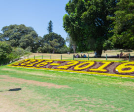 Jubiläum - 200 Jahre Royal Botanic Garden Sydney - für einen halben Tag in Sydney optimal