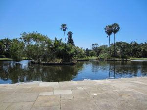 Royal Botanic Garden Sydney - Teich mit Fischen