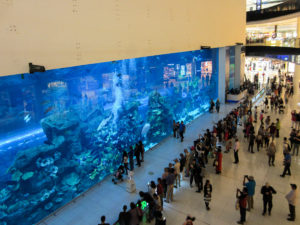 Dubai Mall Aquarium