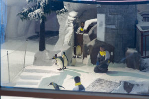Pinguine in Dubais Skihalle