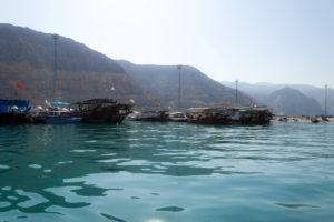 Boote warten auf Touristen