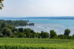 Bei schönstem Sonnenschein ein toller Blick über den Bodensee