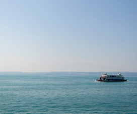 Bei super tollen Wetter mit der Fähre über den Bodensee nach Konstanz und dann weiter zur Insel Mainau.