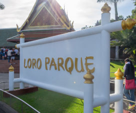 Eingang zum Loro Parque