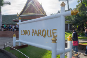 Eingang zum Loro Parque