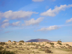 Sanddünen - Nationalpark Corralejo Parque Natural de Corralejo
